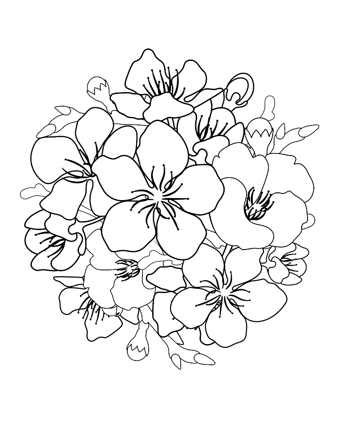 Desenho de Flores para imprimir