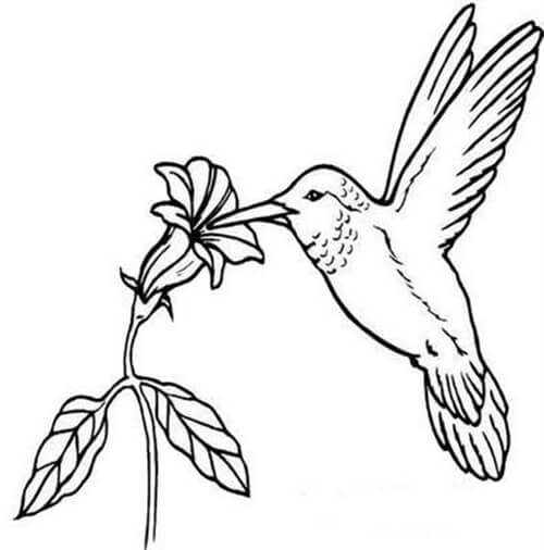 Desenho de Flores para imprimir