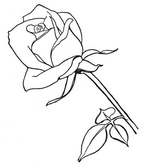 Desenho de Flores para imprimir
