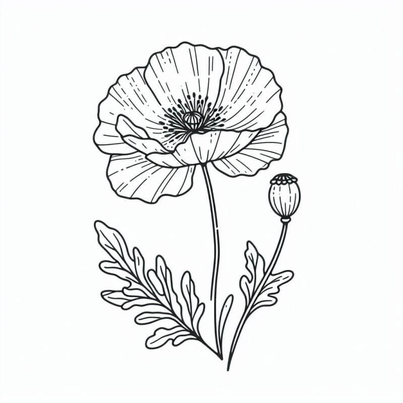 Desenho de Flores para imprimir