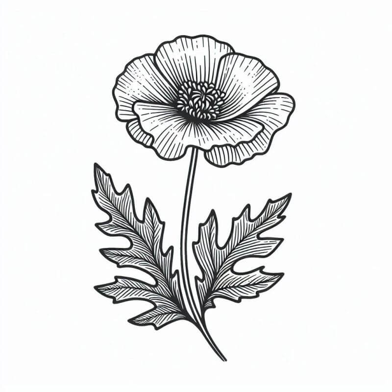 Desenho de Flores para imprimir