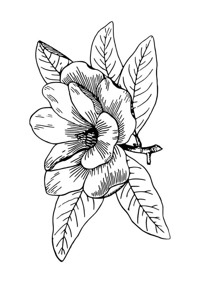Desenho de Flores para imprimir