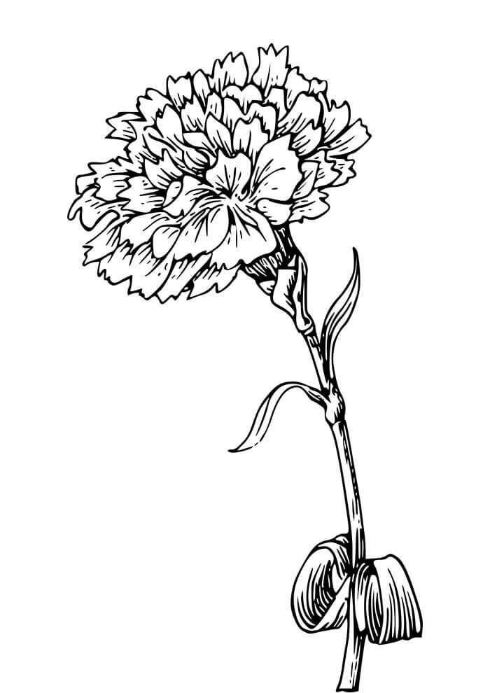 Desenho de Flores para imprimir