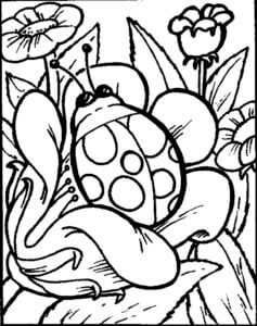 Desenho de Flores para imprimir