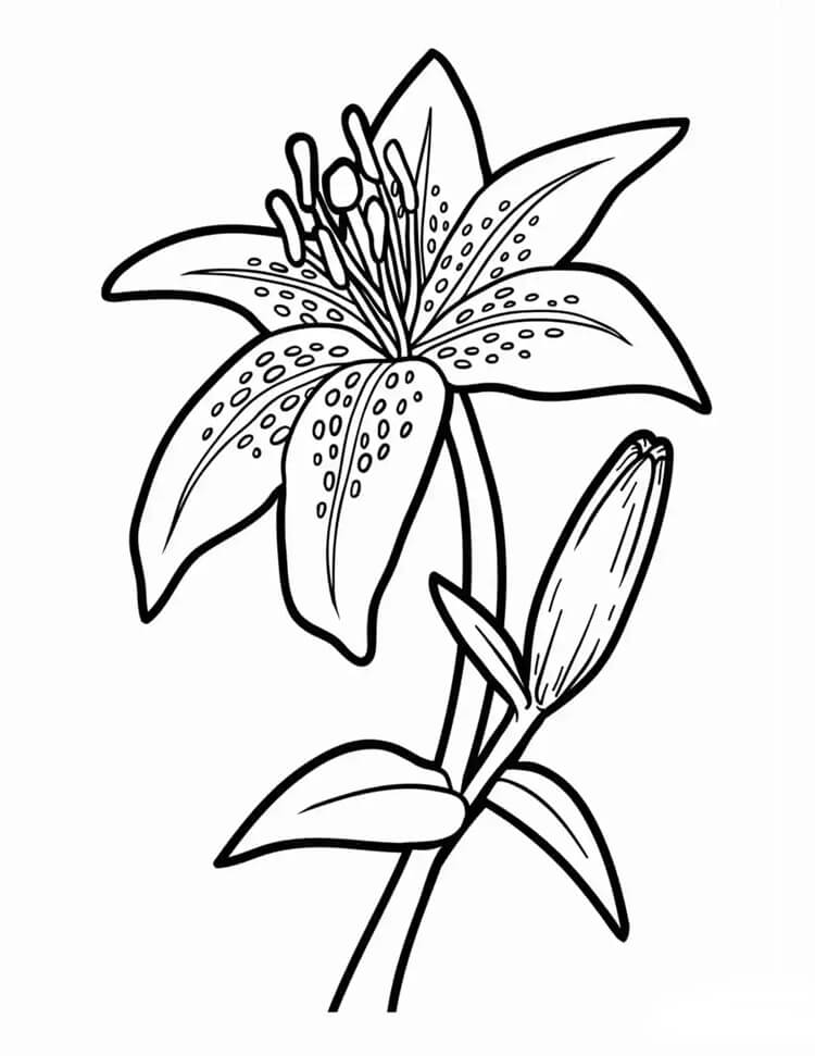 Desenho de Flores para imprimir
