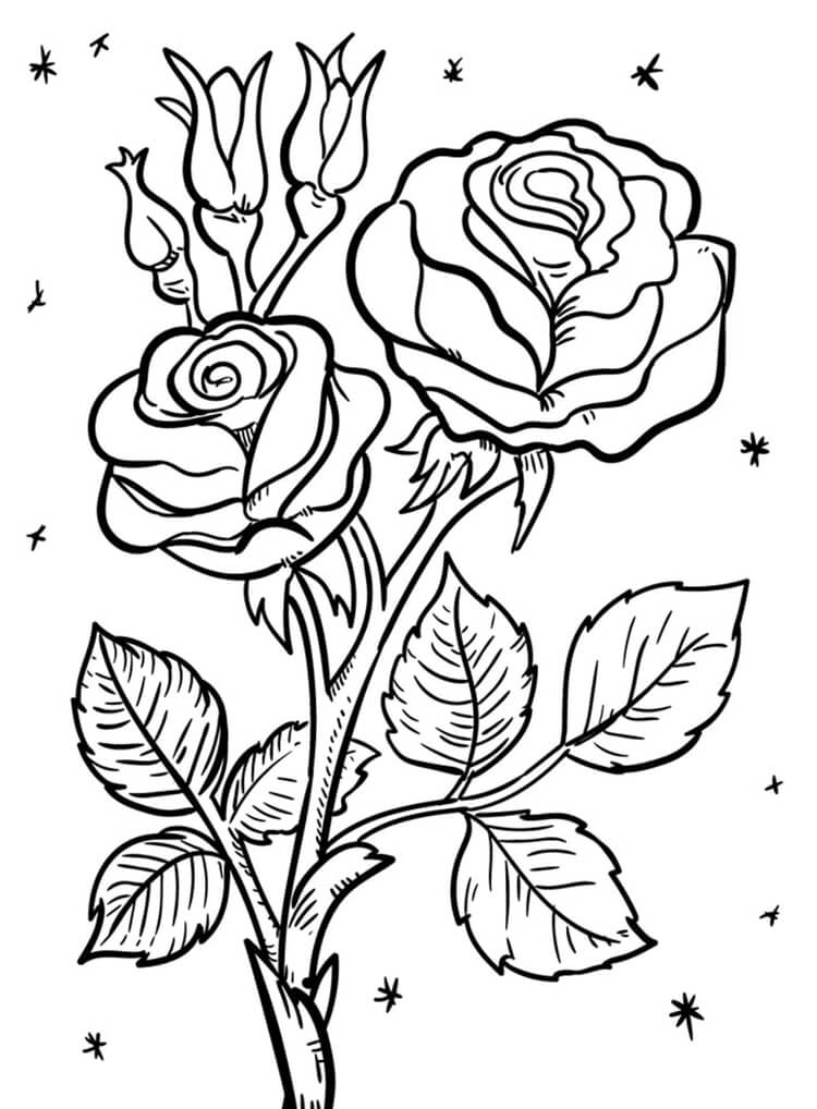 Desenho de Flores para imprimir