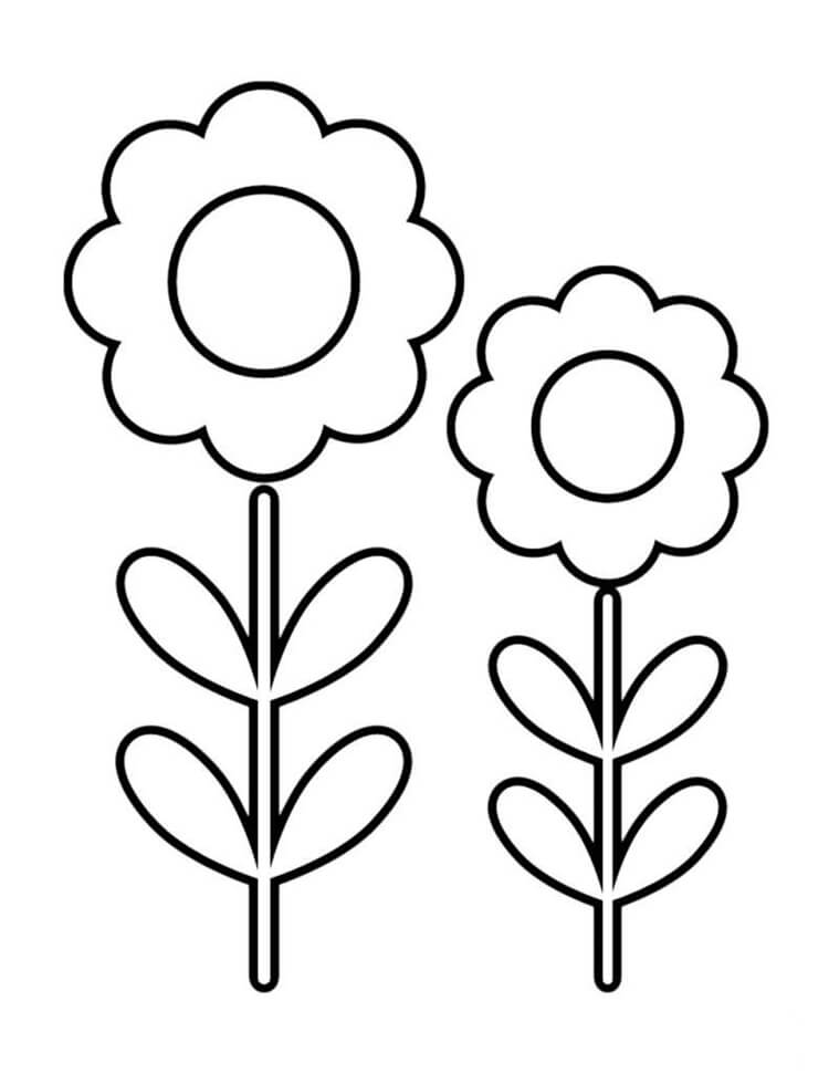 Desenho de Flores para imprimir
