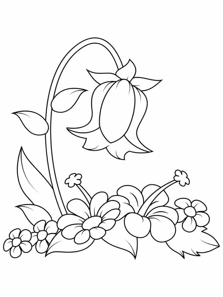 Desenho de Flores para imprimir
