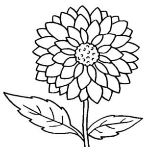 Desenho de Flores para imprimir