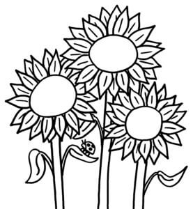 Desenho de Flores para imprimir