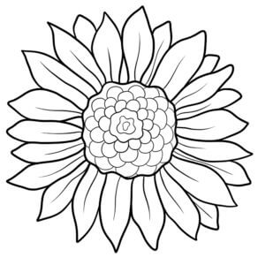 Desenho de Flores para imprimir