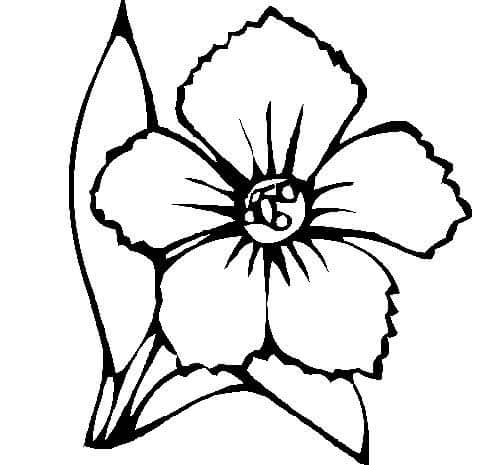 Desenho de Flores para imprimir