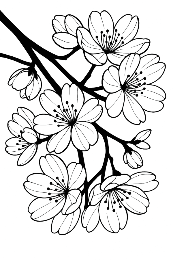 Desenho de Flores para imprimir