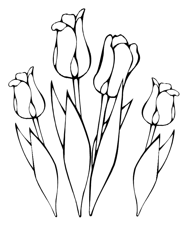 Desenho de Flores para imprimir