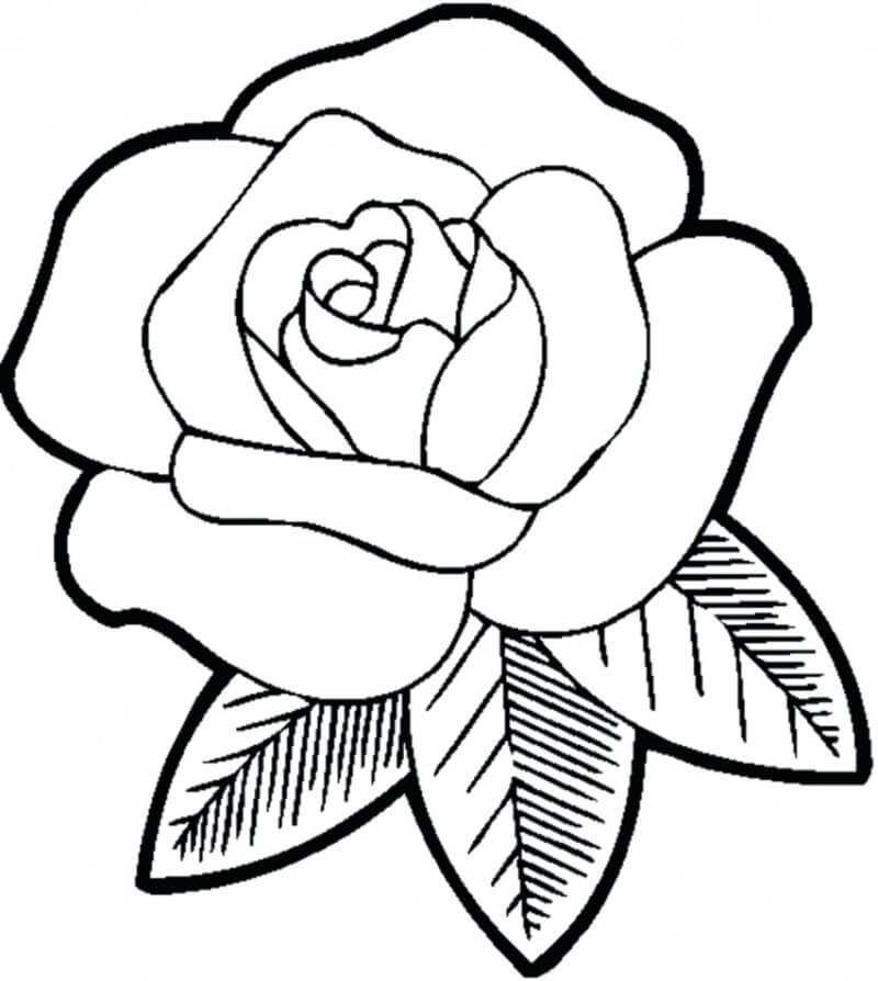 Desenho de Flores para imprimir