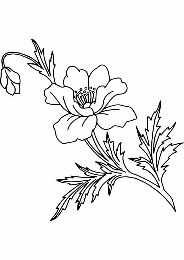Desenho de Flores para imprimir