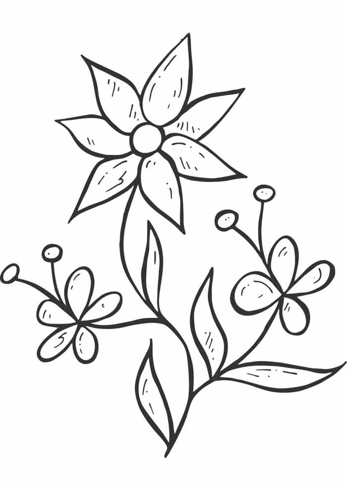 Desenho de Flores para imprimir