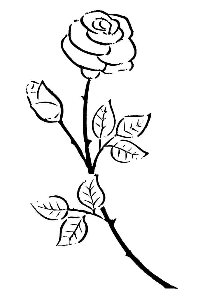 Desenho de Flores para imprimir