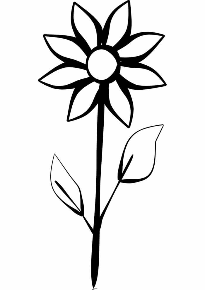 Desenho de Flores para imprimir