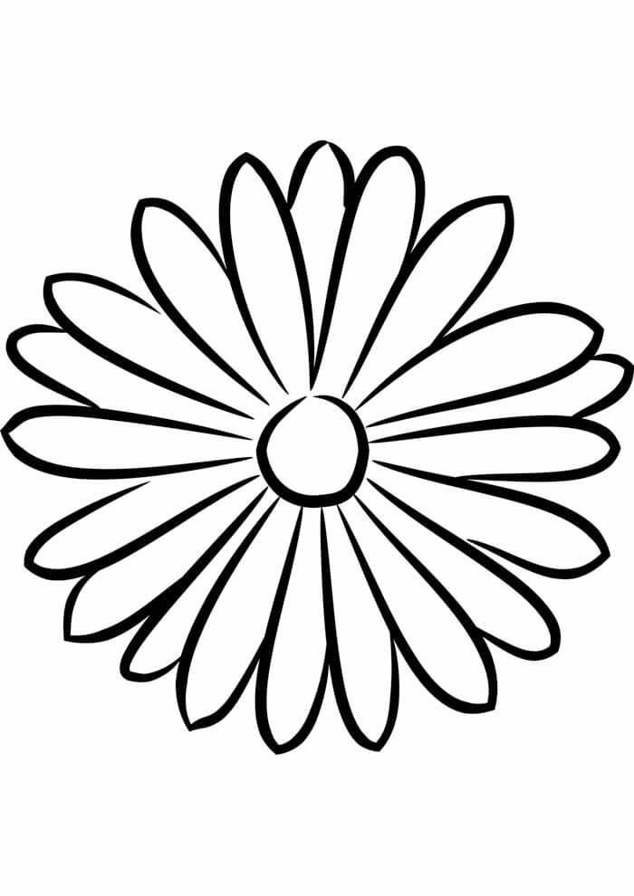 Desenho de Flores para imprimir