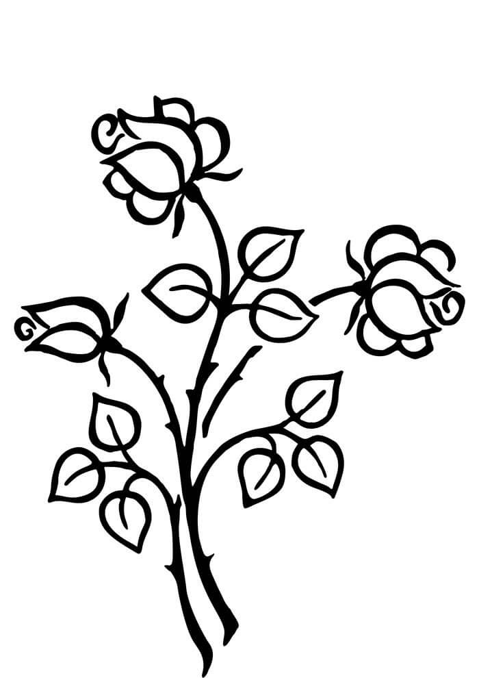 Desenho de Flores para imprimir