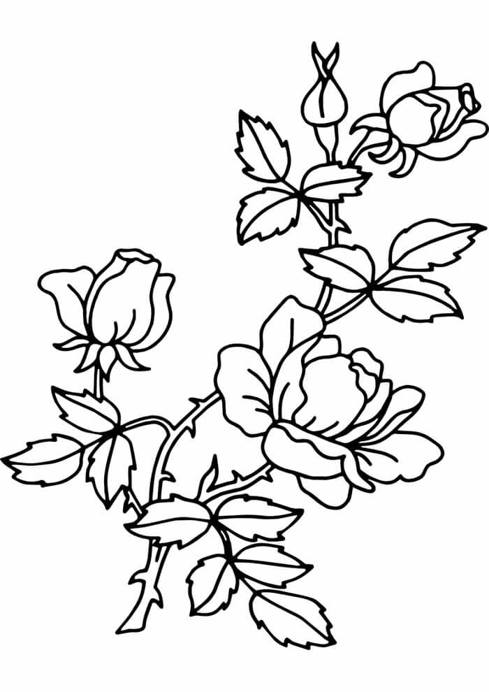 Desenho de Flores para imprimir