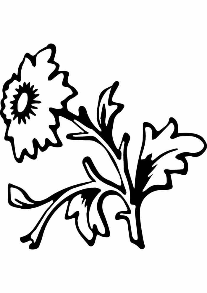 Desenho de Flores para imprimir