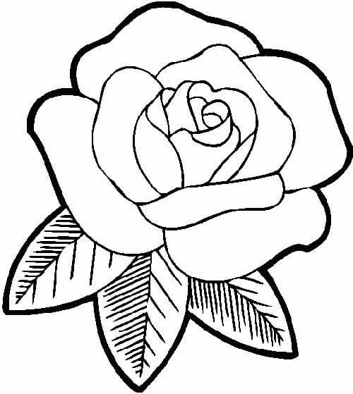Desenho de Flores para imprimir