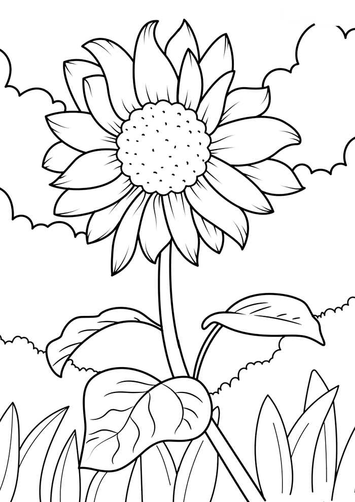 Desenho de Flores para imprimir