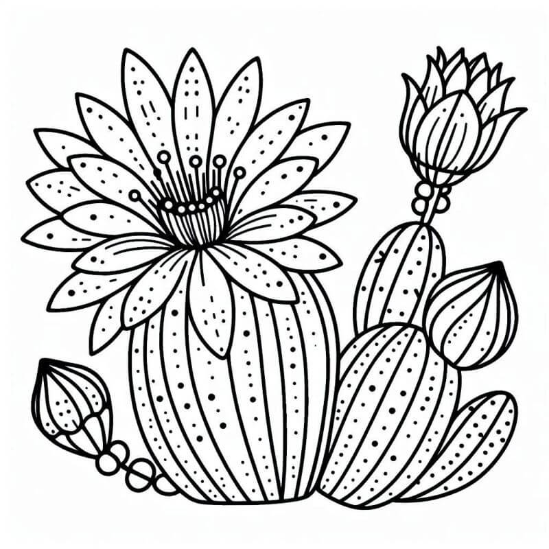 Desenho de Flores para imprimir