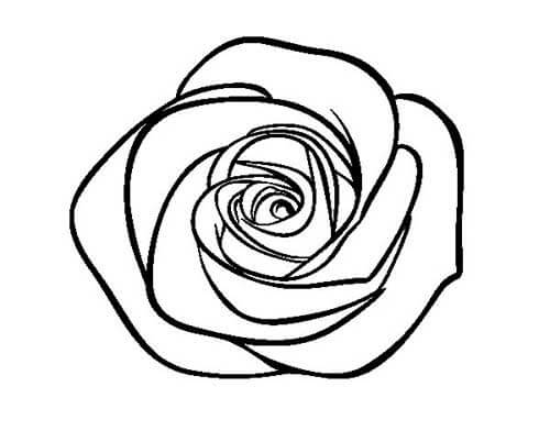 Desenho de Flores para imprimir