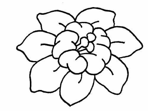 Desenho de Flores para imprimir