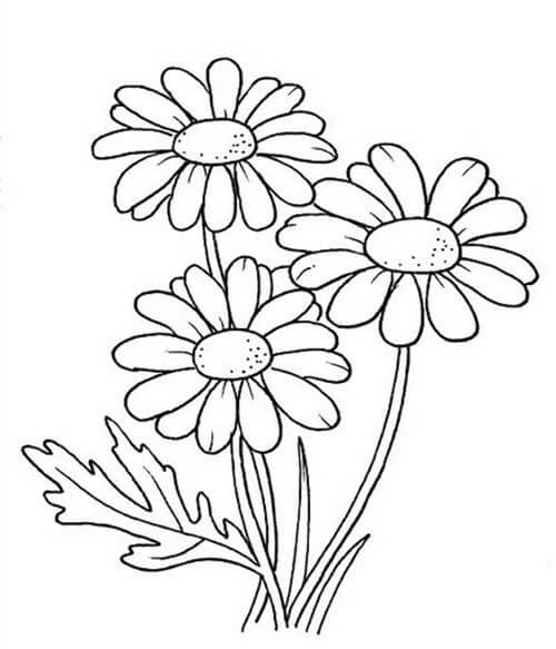 Desenho de Flores para imprimir