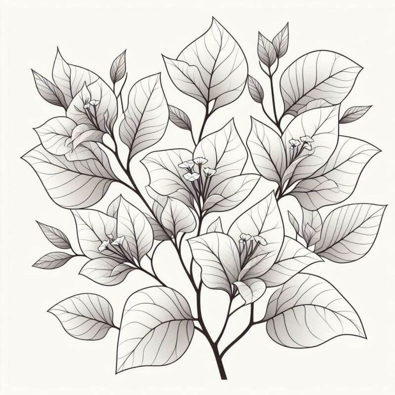 Desenho de Flores para imprimir