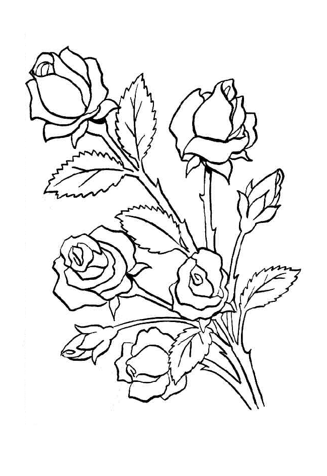 Desenho de Flores para imprimir