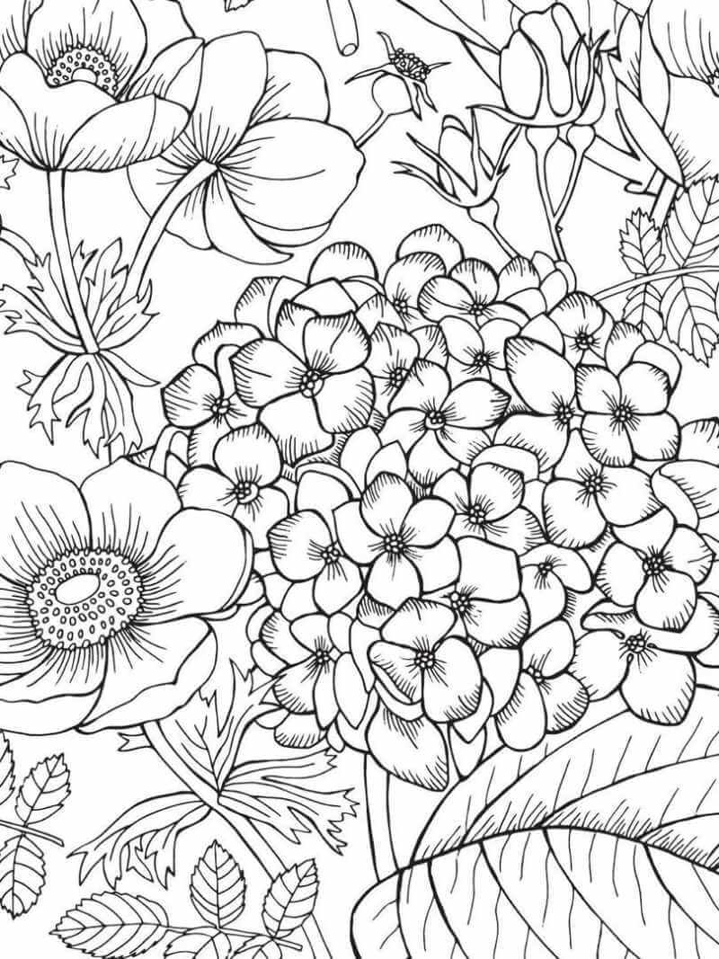 Desenho de Flores para imprimir