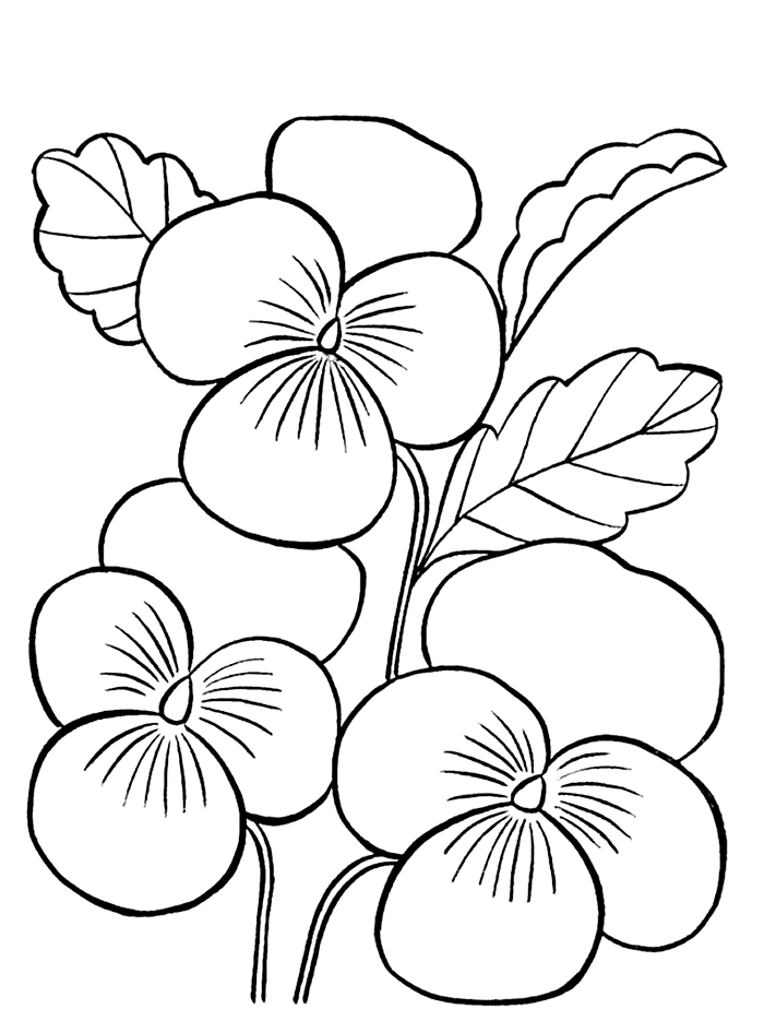Desenho de Flores para imprimir
