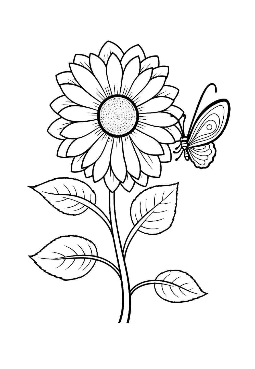 Desenho de Flores para imprimir