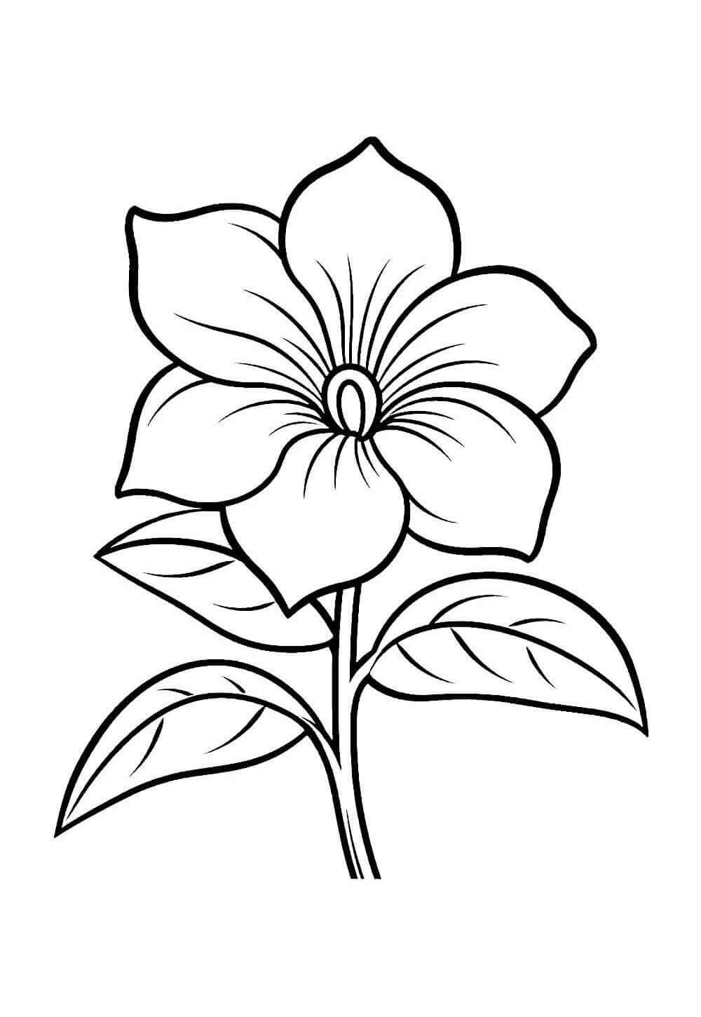 Desenho de Flores para imprimir