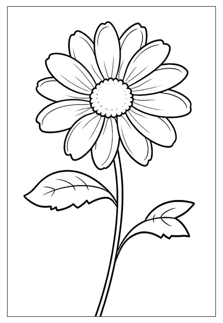 Desenho de Flores para imprimir