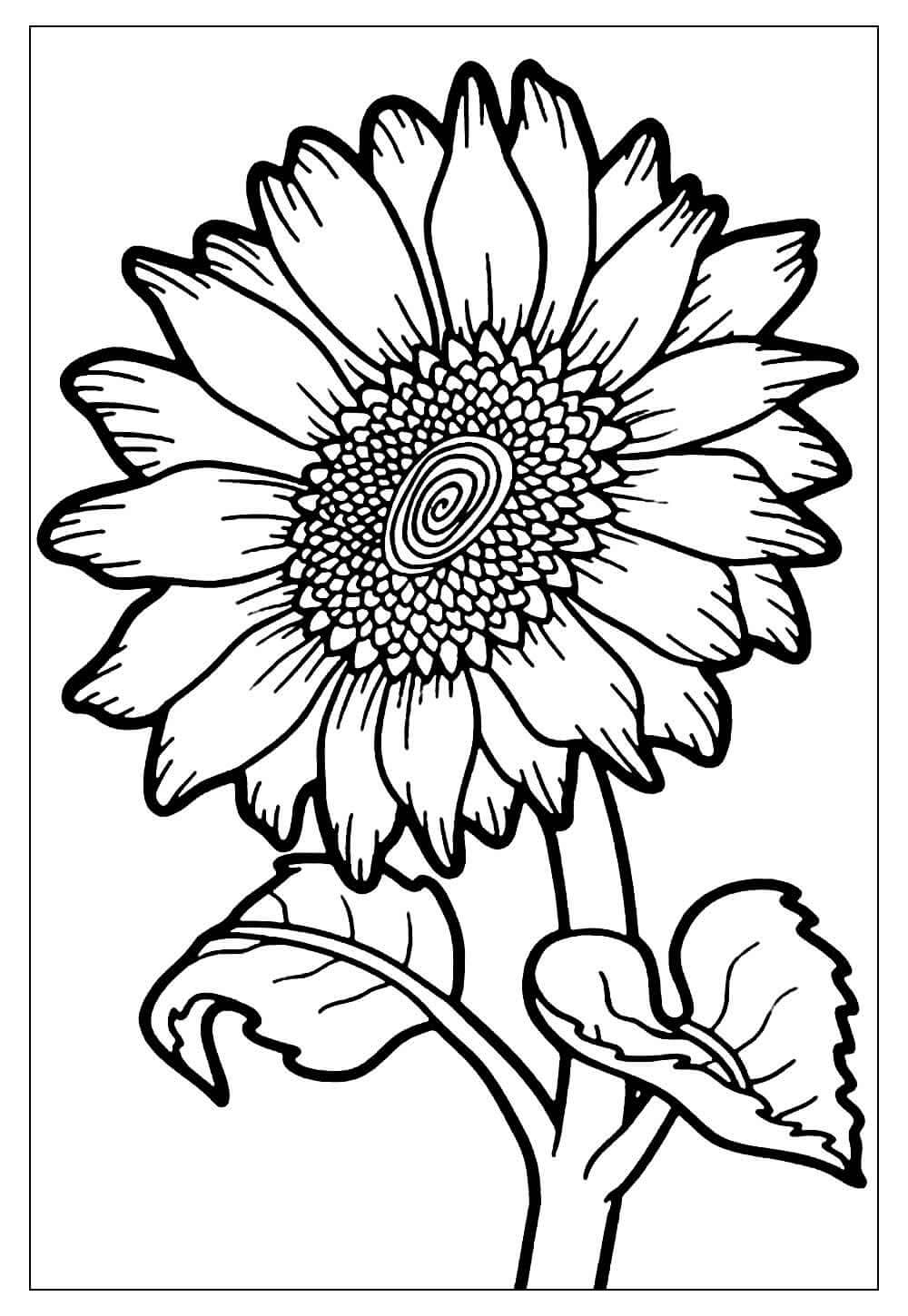 Desenho de Flores para imprimir