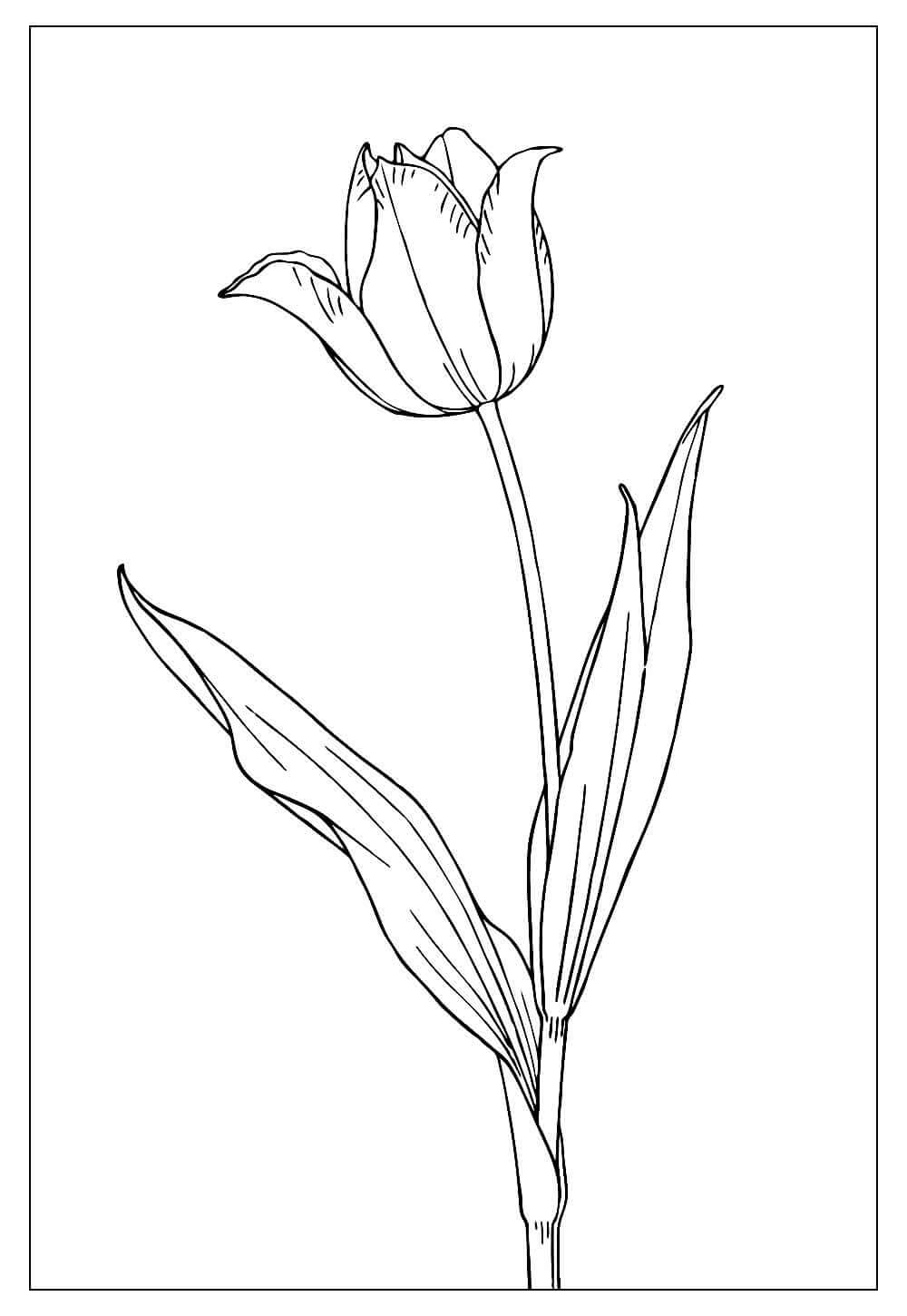 Desenho de Flores para imprimir