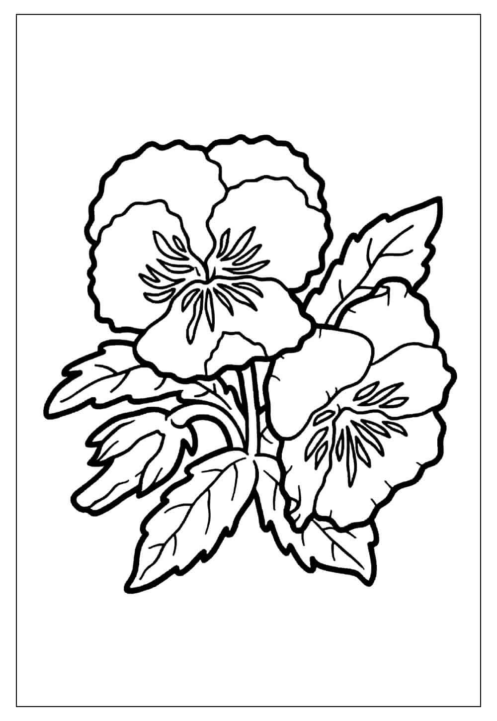 Desenho de Flores para imprimir