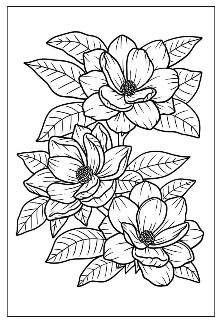 Desenho de Flores para imprimir