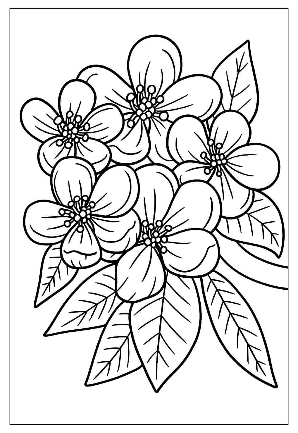 Desenho de Flores para imprimir