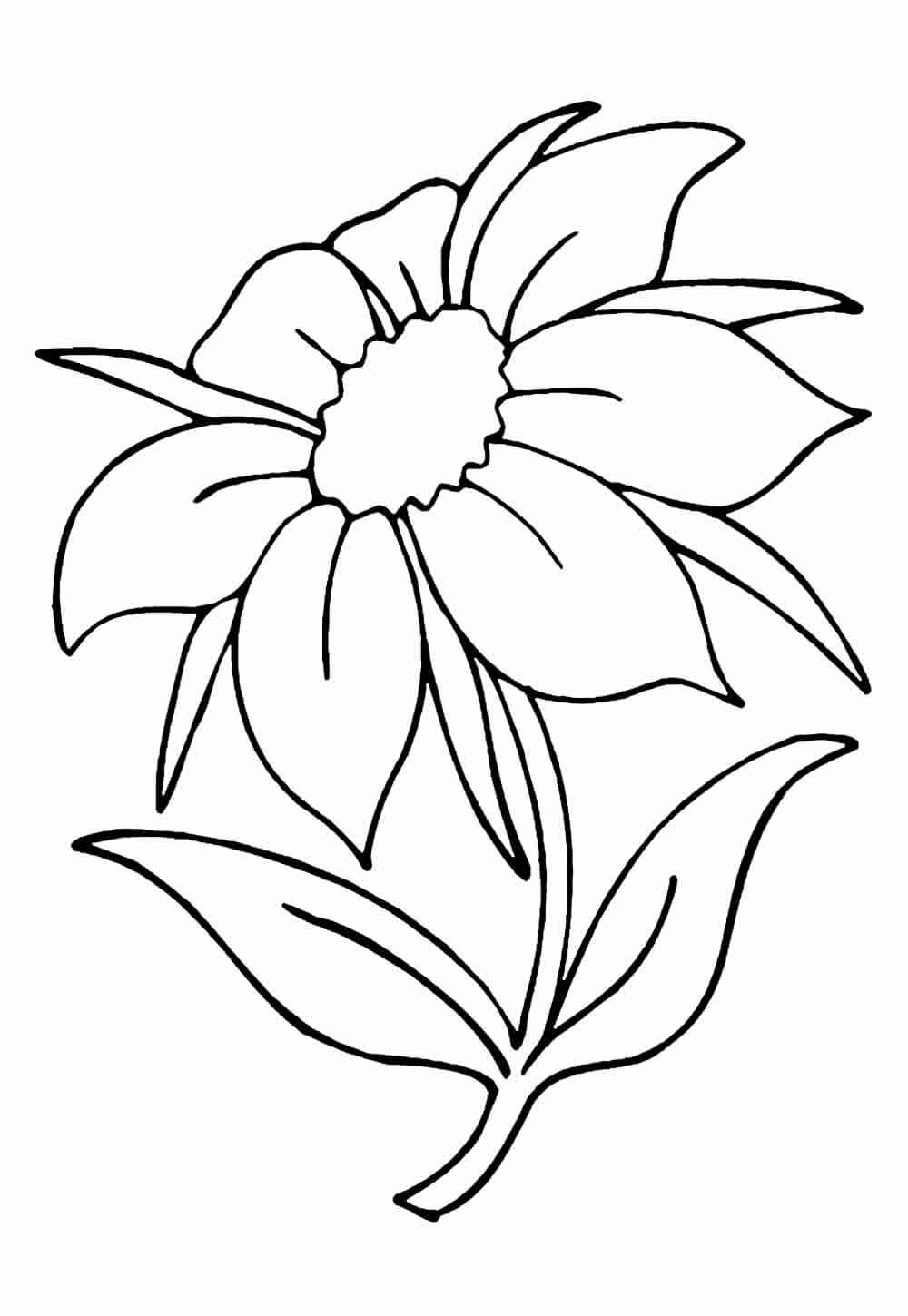 Desenho de Flores para imprimir