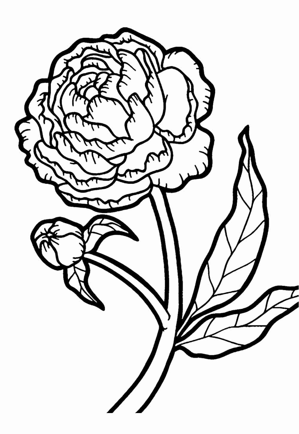 Desenho de Flores para imprimir