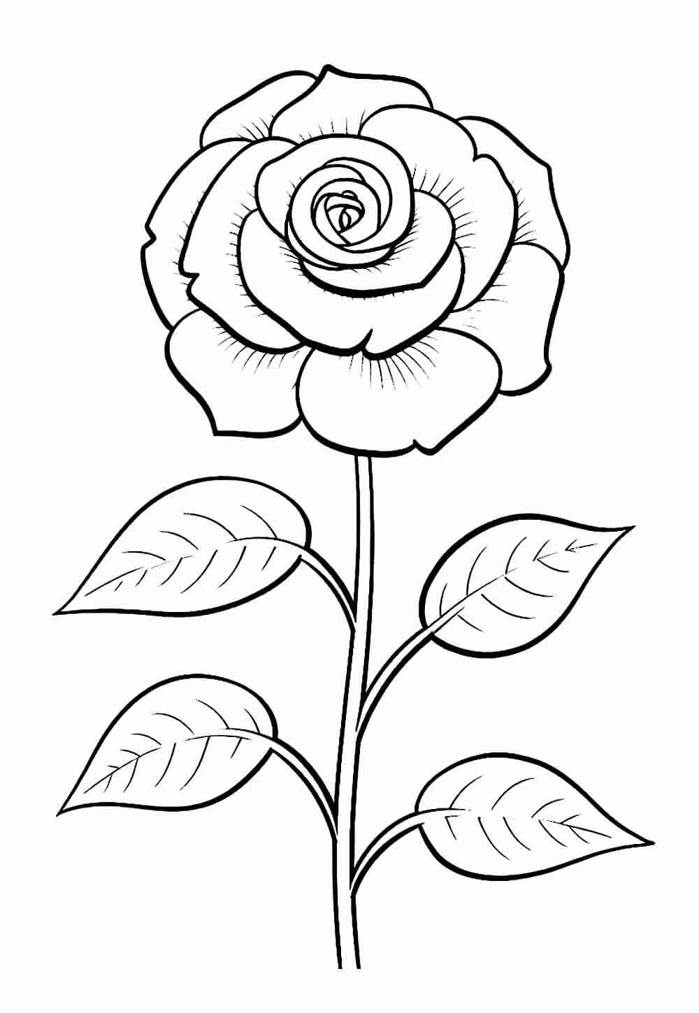 Desenho de Flores para imprimir