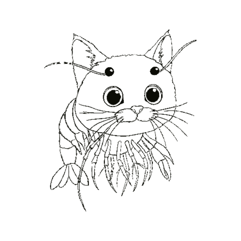 Desenho de Italian Brainrot para imprimir