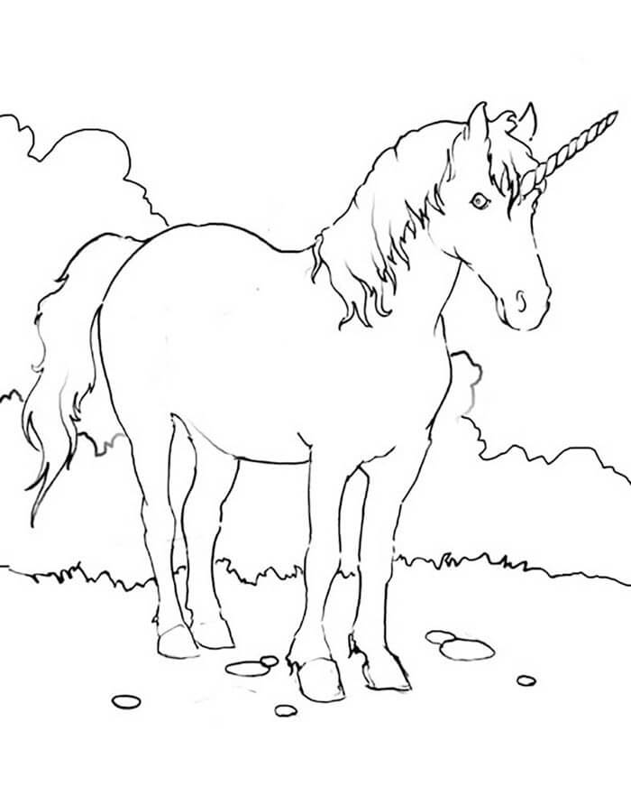 Desenho de Unicórnios para imprimir